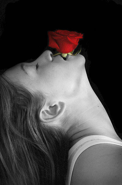 Black and white photos with red roses!