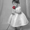 baby_red_rose_poster