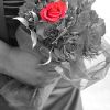 red_roses_wedding_photo