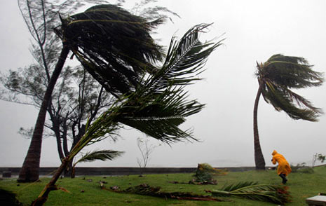 windy windy