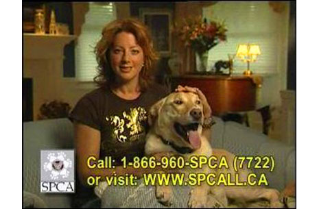 aspca_sarah_mclachlan aspca_sarah_mclachlan
