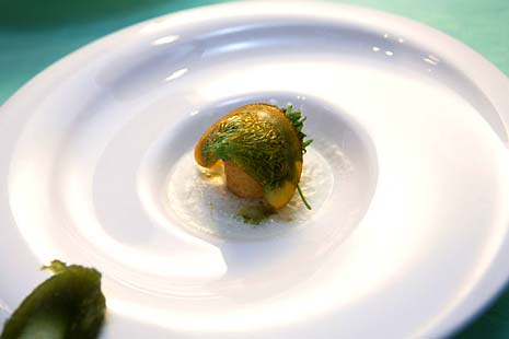 Molecular Gastronomy Molecular Gastronomy