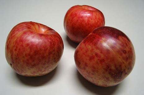 pluots