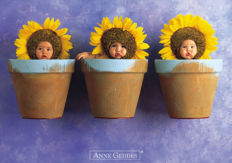 anne geddes give me the creeps anne geddes sucks