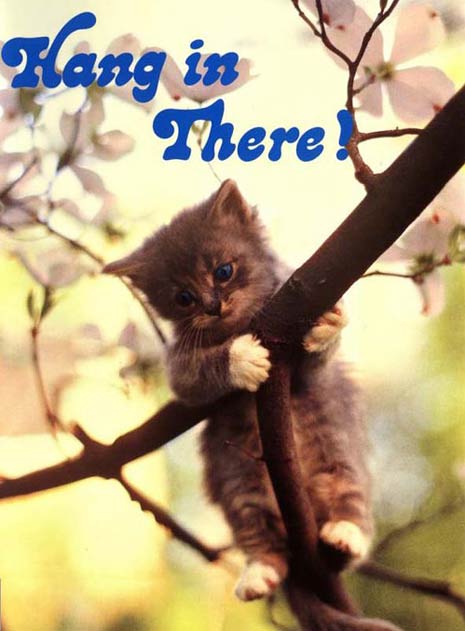 hang in there baby poster