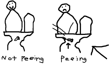 pee_sitting_down