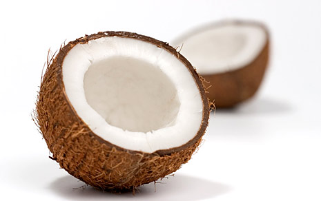 coconuts suck I hate coconuts, coconuts suck