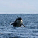 People who are better than me!