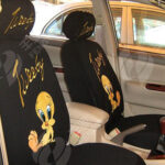 Tweety Bird & Betty Boop!